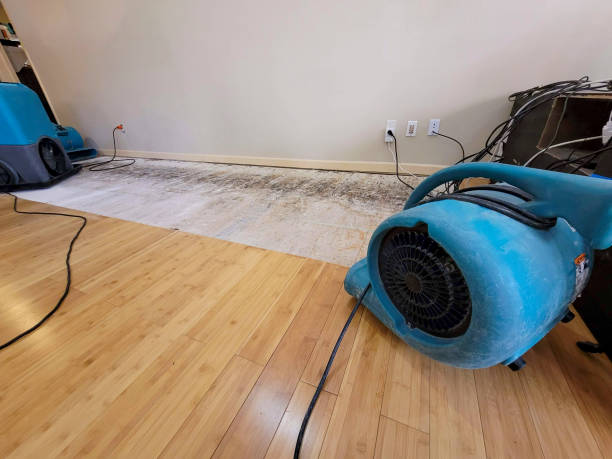 Professional Burst Pipe Water Damage technician working in Monterey, CA